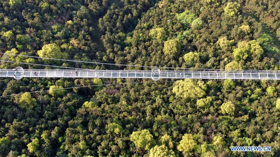 #CHINA-JIANGSU-JIANGYIN-GLASS BRIDGE (CN)