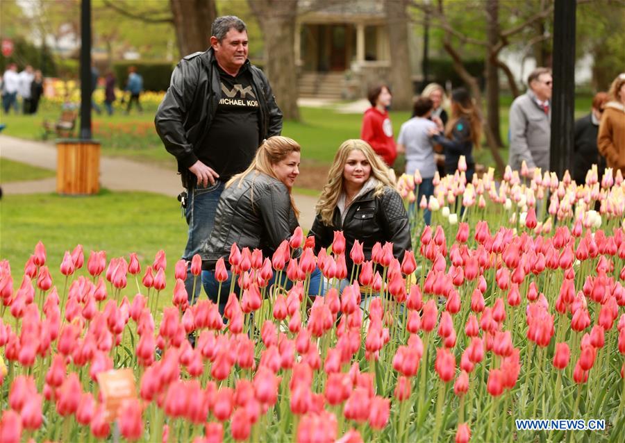 U.S.-MICHIGAN- HOLLAND-TULIP TIME FESTIVAL