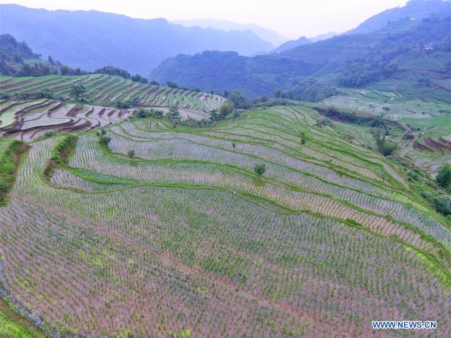 CHINA-SICHUAN-TERRACED LANDS (CN)