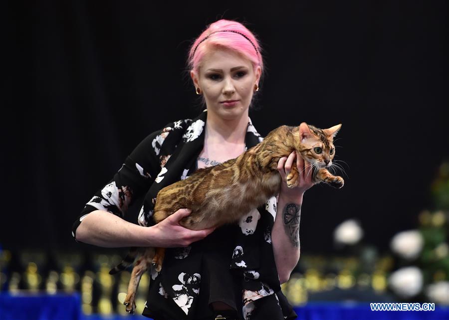 GERMANY-DORTMUND-DOG-CAT-EXHIBITION