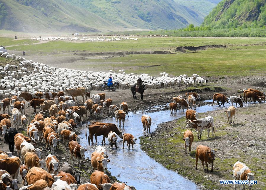 CHINA-INNER MOGOLIA-CHIFENG-AR HORQIN GRASSLAND-LANDSCAPE (CN)