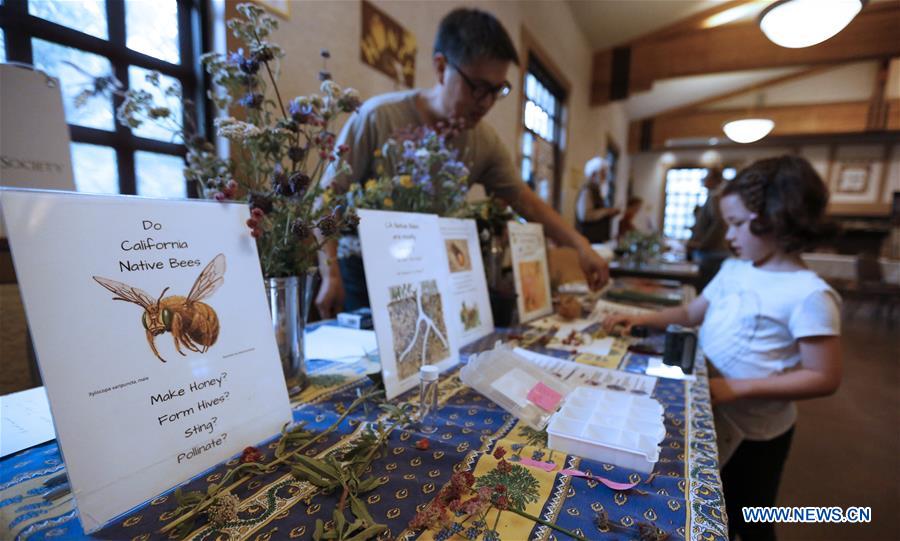 U.S.-LOS ANGELES-BEE-FESTIVAL 