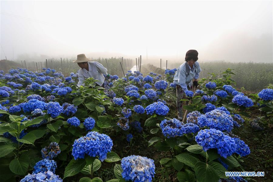 XINHUA PHOTOS OF THE DAY