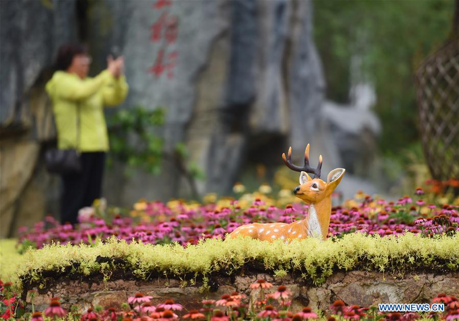 CHINA-BEIJING-HORTICULTURAL EXPO-JIANGXI DAY (CN)