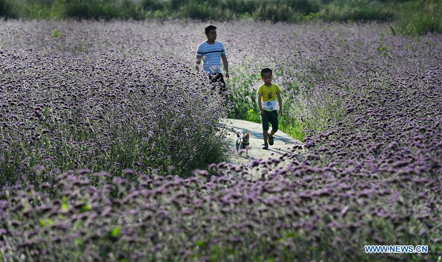 CHINA-SHAANXI-FLOWERS-TOURISM(CN)