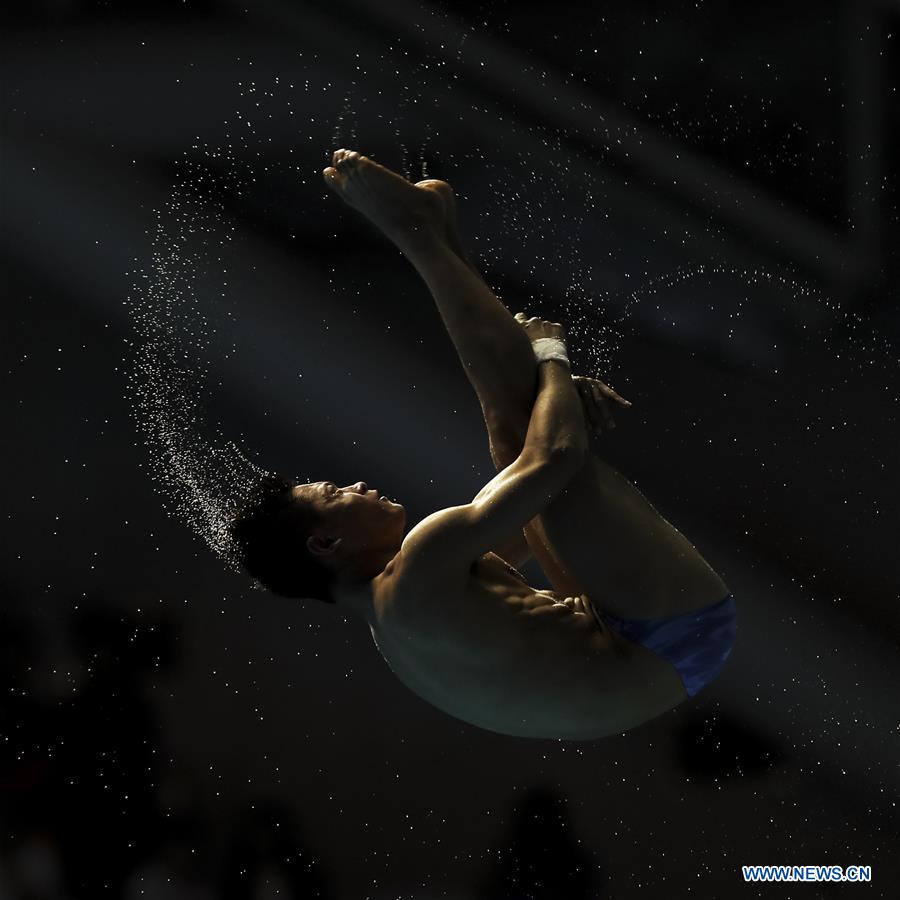 (SP)SOUTH KOREA-GWANGJU-FINA WORLD CHAMPIONSHIPS-DIVING-MEN'S 10M PLATFORM