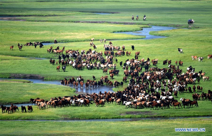 CHINA-INNER MONGOLIA-HORSES (CN)