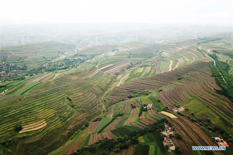 CHINA-GANSU-HUINING-TERRACED LANDS IN RAIN (CN)