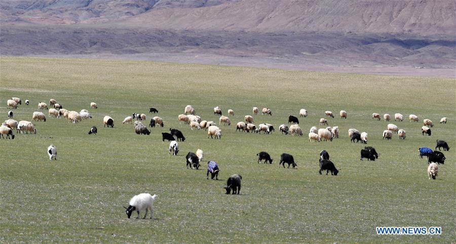 CHINA-TIBET-NYIMA-SCENERY(CN)