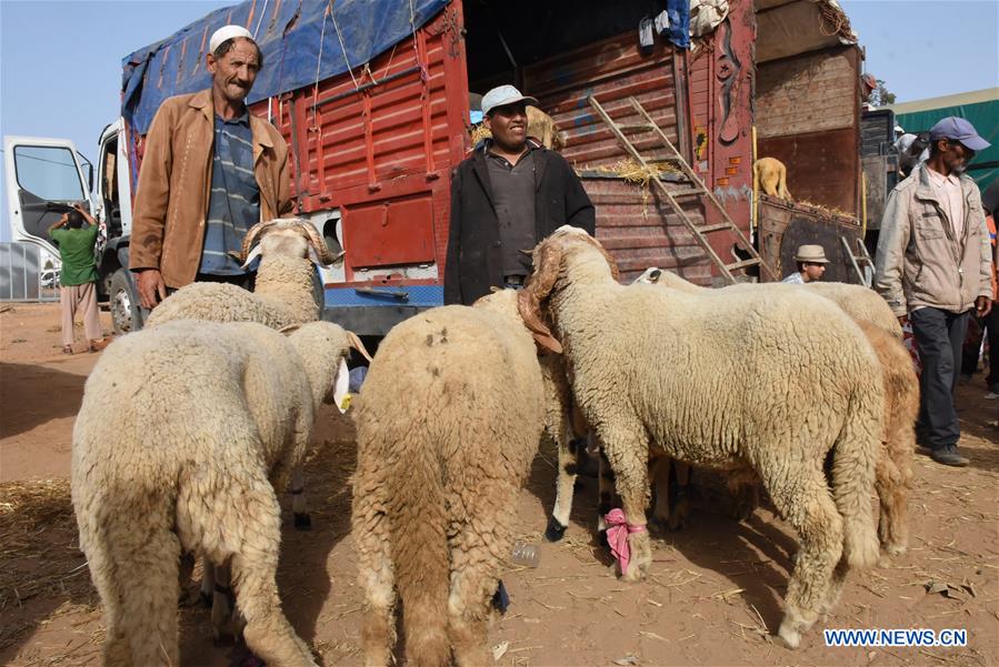 MOROCCO-SALE-EID AL-ADHA-LIVESTOCK MARKET