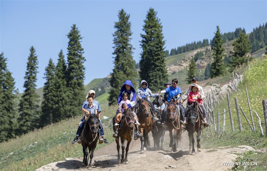 CHINA-XINJIANG-TEKES-KARADALA-LIFE (CN)