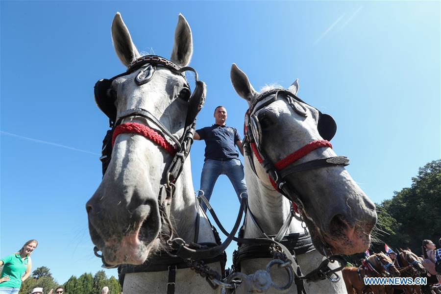 CROATIA-MARIJA BISTRICA-HORSE CARRIAGE RIDE