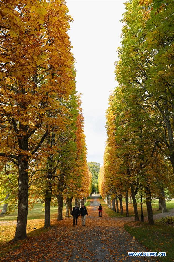 SWEDEN-STOCKHOLM-AUTUMN