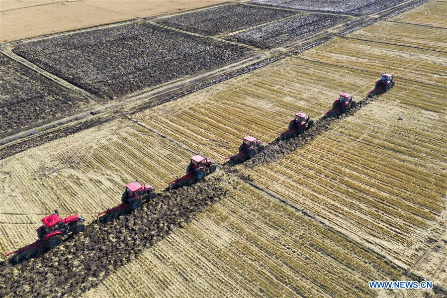 CHINA-HEILONGJIANG-TONGJIANG-HARVEST (CN)