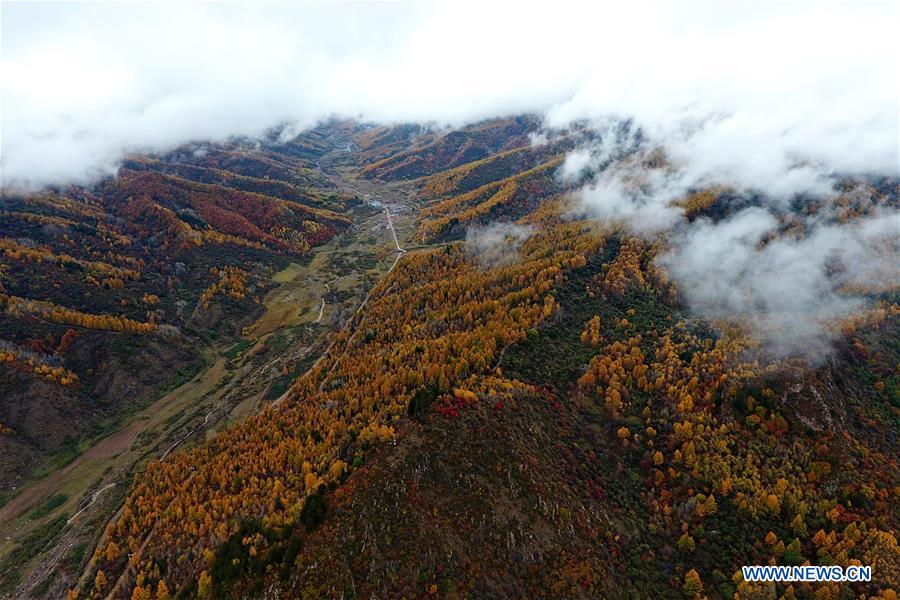 CHINA-SHANXI-PANGQUANGOU-NATURE RESERVE (CN)