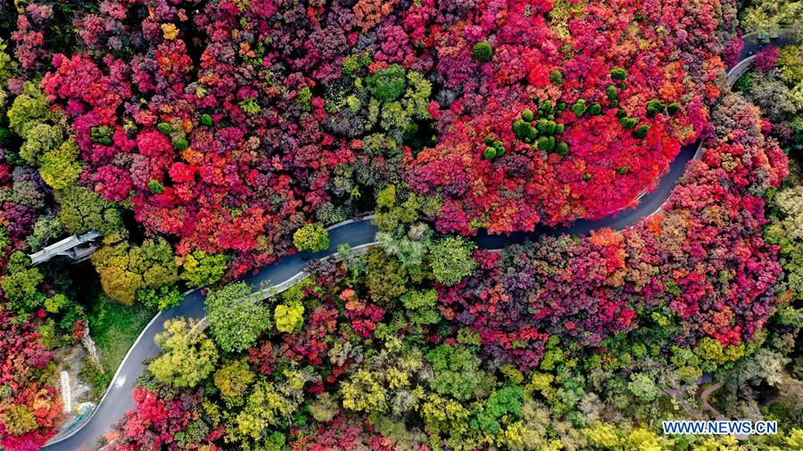 CHINA-SHANDONG-JINAN-AUTUMN SCENERY (CN)