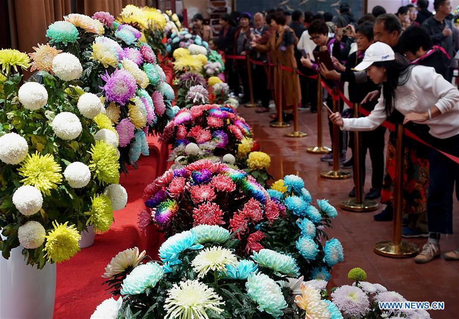 CHINA-HENAN-KAIFENG-CHRYSANTHEMUM (CN)