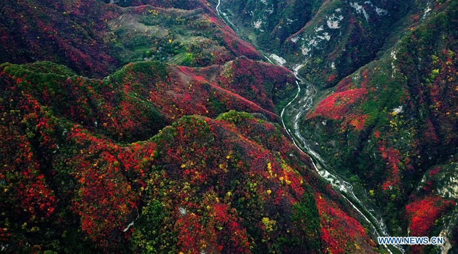 CHINA-SHAANXI-HUAZHOU-SHAOHUA MOUNTAIN-AUTUMN (CN)