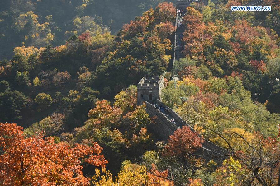 CHINA-BEIJING-GREAT WALL-AUTUMN SCENERY (CN)