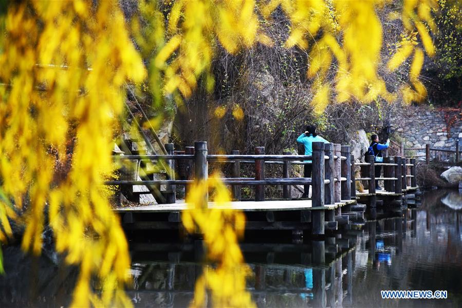 CHINA-SHANDONG-JINAN-AUTUMN SCENERY (CN)