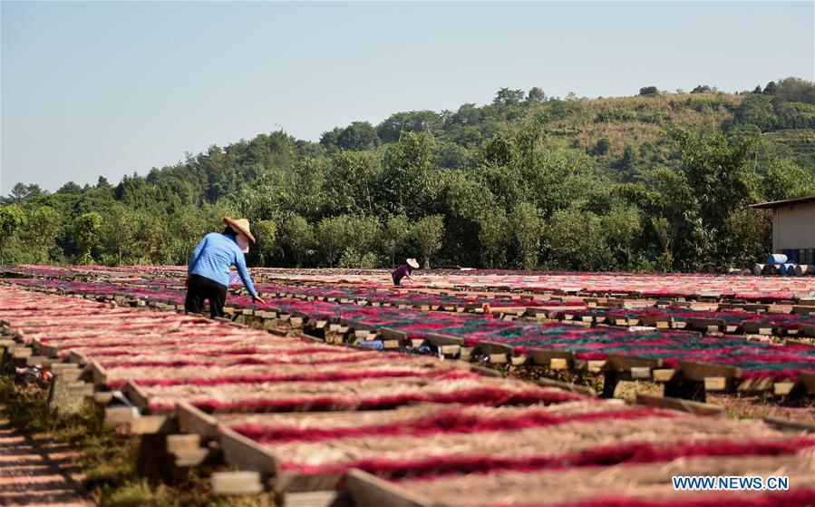 CHINA-FUJIAN-YONGCHUN-INCENSE PRODUCTION (CN)