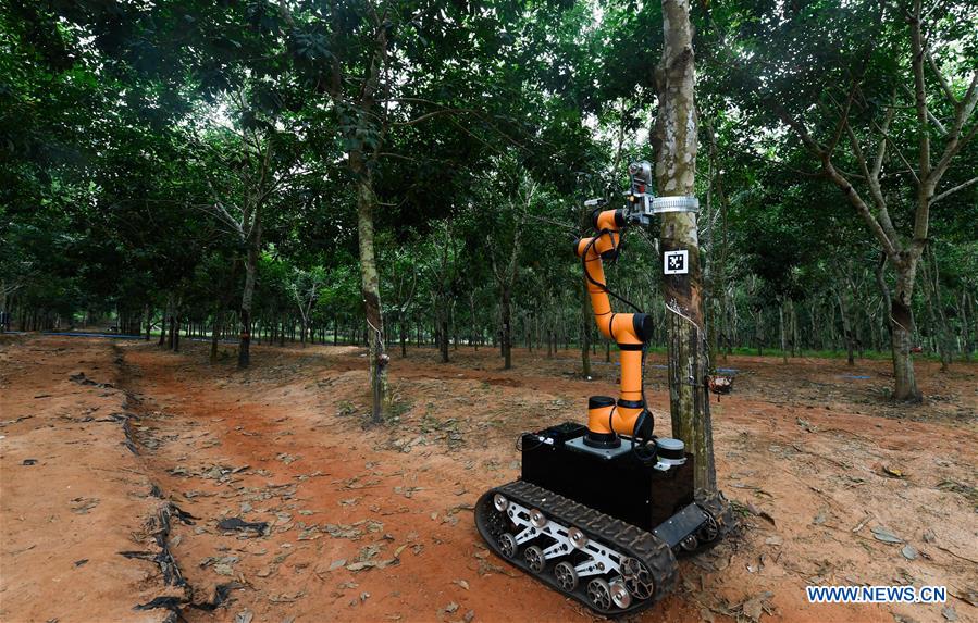 CHINA-HAINAN-RUBBER TAPPING ROBOT (CN)