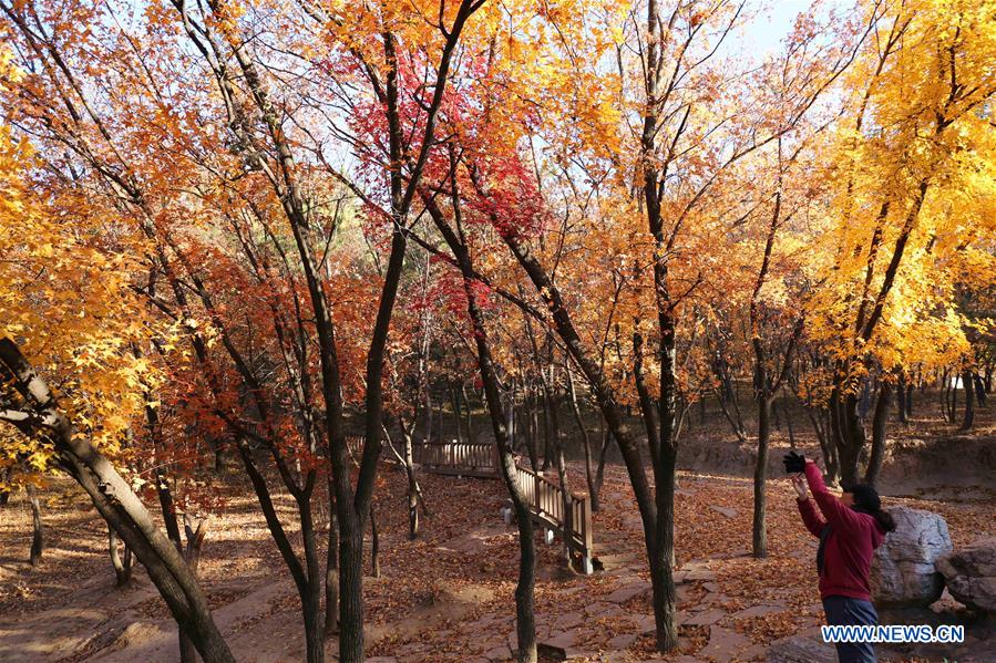 #CHINA-SHUANGJIANG-SCENERY (CN)