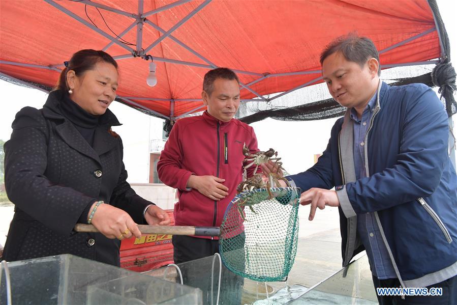 CHINA-JIANGXI-NANCHANG-FISHERY-CRAB (CN)