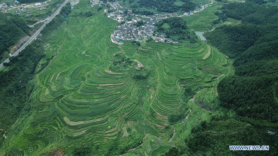 CHINA-GUIZHOU-DANZHAI-TERRACED FIELD-SCENERY (CN)