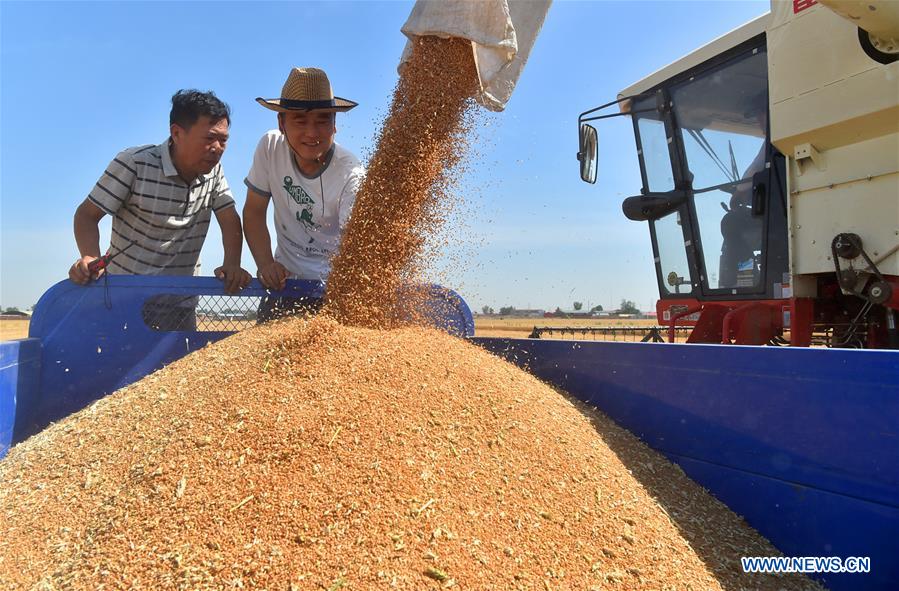 CHINA-AGRICULTURE DEVELOPMENT (CN)