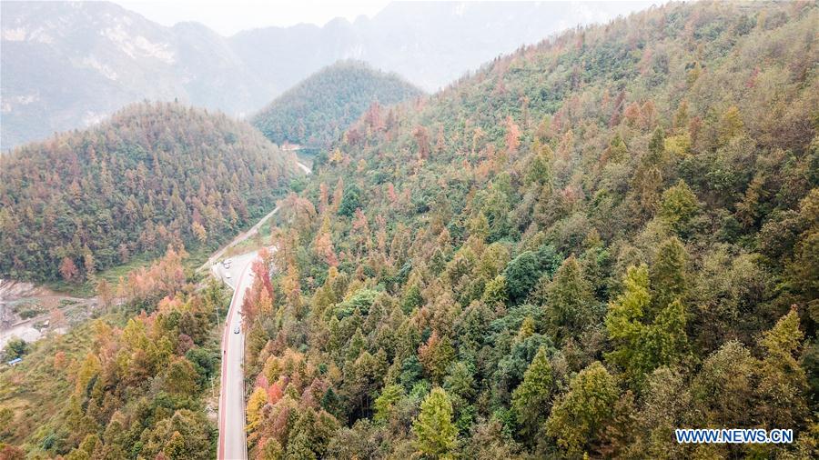 CHINA-GUIZHOU-VALLEY-SCENERY (CN)