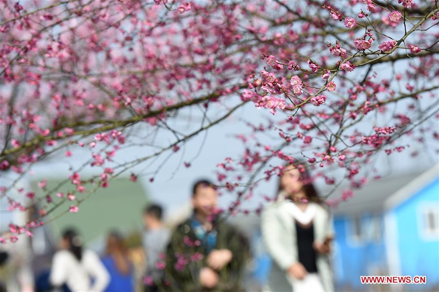 #CHINA-SPRING-FLOWER (CN)