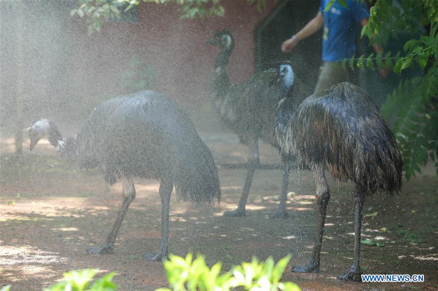 CROATIA-ZAGREB-HEAT WAVE-ZOO