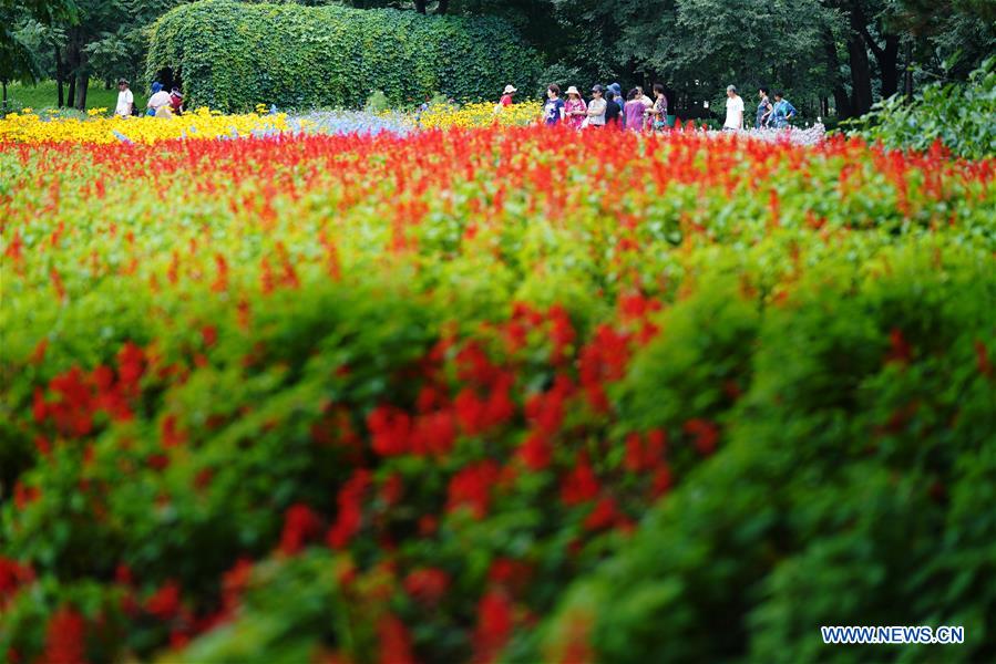 CHINA-HEILONGJIANG-HARBIN-SUN ISLAND-SCENERY (CN)