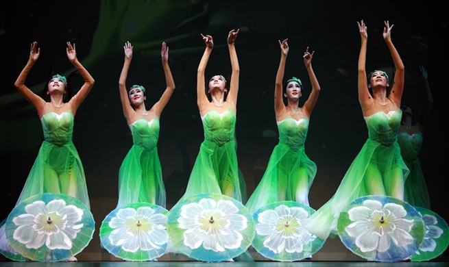 Spring Festival gala staged in Houston, U.S.