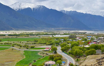 Scenery of Yani national wetland park in China's Tibet