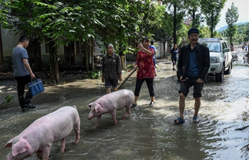 595 flood-stranded people evacuated at Laochang Village, SW China