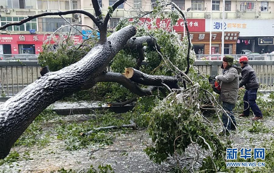 （新華全媒頭條）（7）雨雪冰凍中，他們奮力前行——基層黨員干群抗擊冰雪災(zāi)害紀(jì)實(shí)