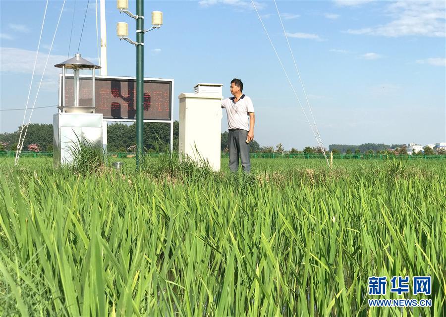 （新華全媒頭條·紀(jì)念改革開放40年特稿·圖文互動）（6）向著新航程揚帆奮進(jìn)！——從小崗精神看中國改革開放40年