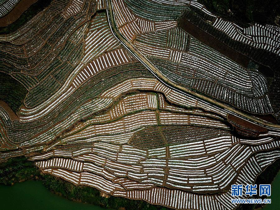 （春季美麗生態(tài)）（3）飛閱邊關(guān)山田春景