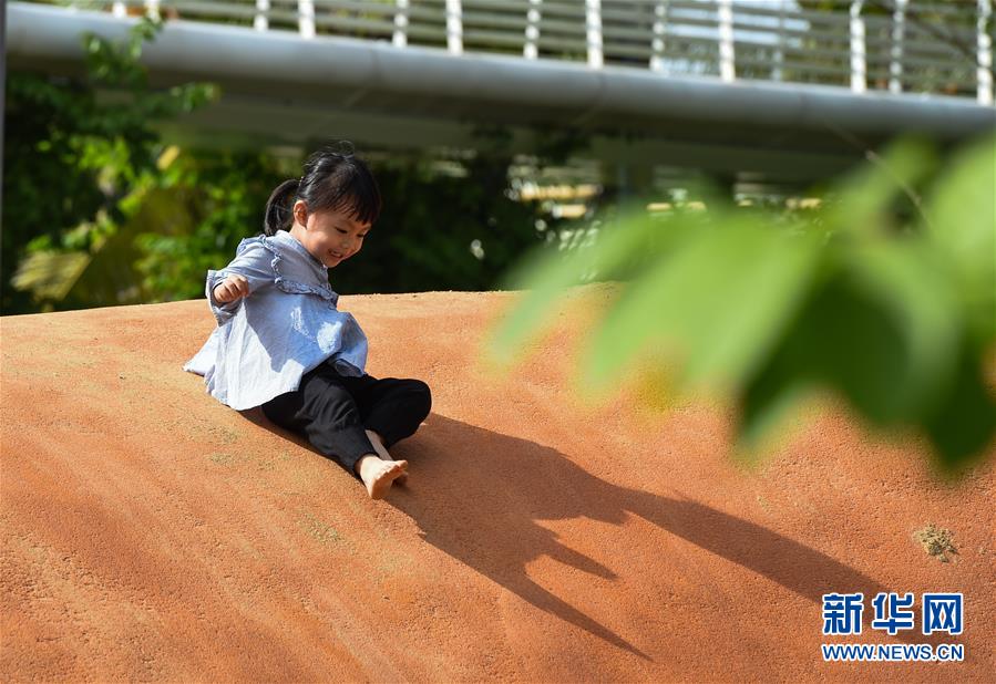 （圖文互動·百城百縣百企調(diào)研行）（3）“濕地海口”的生態(tài)文明建設(shè)實踐