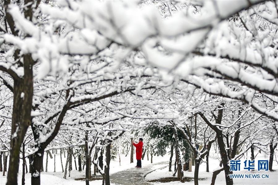 （鏡觀中國·新華社國內(nèi)照片一周精選）（12）冰雪世界