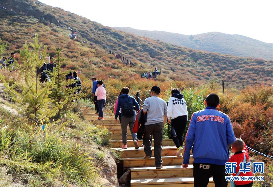 （城市綠道建設(shè)·圖文互動(dòng)）（5）青城登山步道：踏遍青山享美景 生態(tài)綠道助脫貧