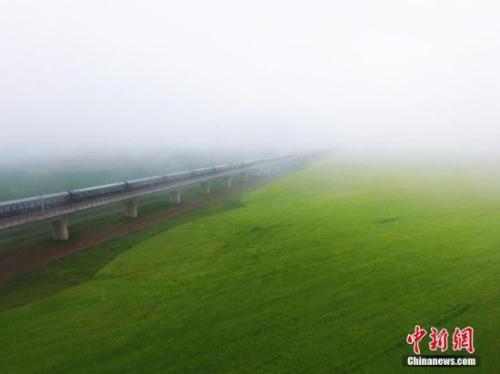 資料圖：動(dòng)車組穿越雨霧中的油菜花海宛若穿越時(shí)空。 楊艷敏 攝