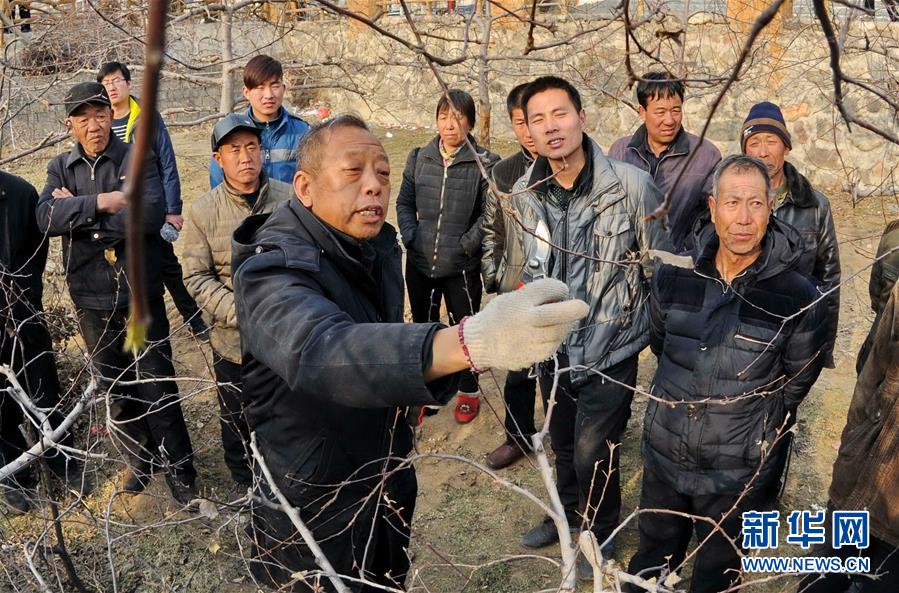 （新華全媒頭條·圖文互動）（8）鍛造領航復興的中流砥柱——寫在“不忘初心、牢記使命”主題教育即將啟動之際