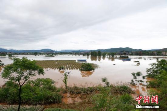 資料圖：湖南省臨武縣武水鎮(zhèn)、南強(qiáng)鎮(zhèn)、汾市鎮(zhèn)、水東鎮(zhèn)、金江鎮(zhèn)等鄉(xiāng)鎮(zhèn)遭遇特大暴雨襲擊，導(dǎo)致大量民房和農(nóng)田被淹。據(jù)不完全統(tǒng)計(jì)，該縣數(shù)千戶民房被淹，數(shù)十萬(wàn)畝農(nóng)田、果園、煙田被淹斷收，直接經(jīng)濟(jì)損失達(dá)數(shù)千萬(wàn)元。災(zāi)情發(fā)生后，當(dāng)?shù)卣跋嚓P(guān)部門第一時(shí)間奔赴受災(zāi)鄉(xiāng)鎮(zhèn)轉(zhuǎn)移群眾，察看災(zāi)情并積極組織村民排澇自救、發(fā)放救災(zāi)物資、開(kāi)展保險(xiǎn)理賠等工作。目前救災(zāi)工作正在有序進(jìn)行，無(wú)人員傷亡。唐盛歡 攝