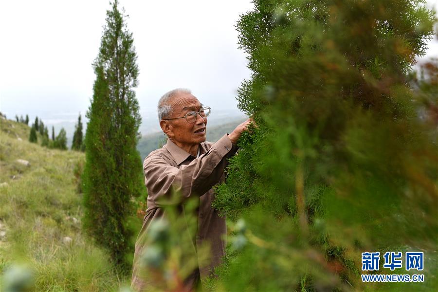 （在習(xí)近平新時(shí)代中國特色社會主義思想指引下——新時(shí)代新作為新篇章·圖文互動）（5）中條山下綠意濃——一個“資源窮縣”的生態(tài)發(fā)展之路