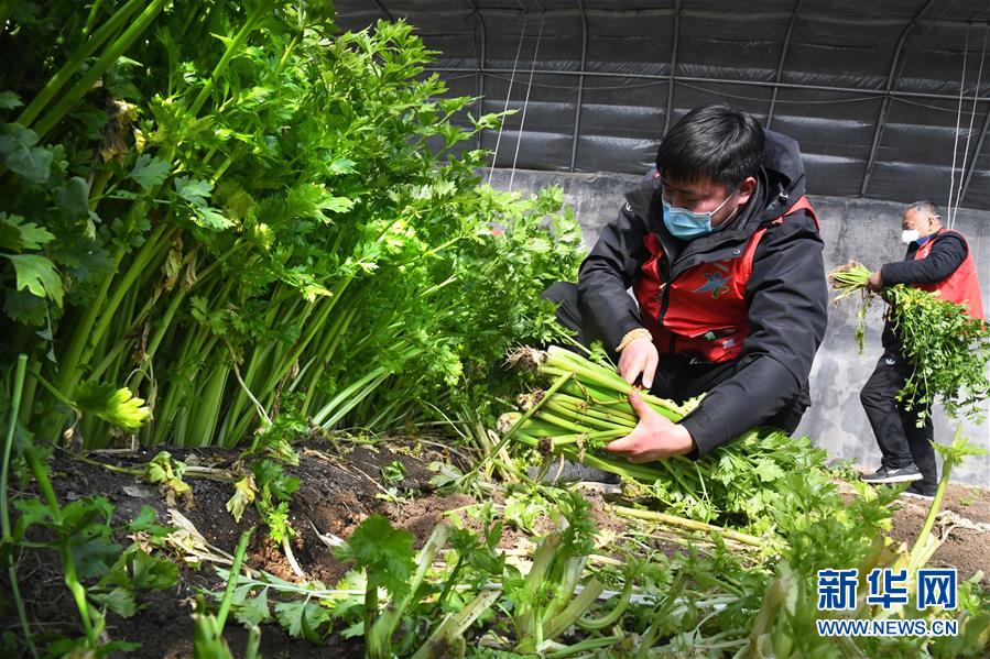 （在習(xí)近平新時(shí)代中國特色社會主義思想指引下——新時(shí)代新作為新篇章·習(xí)近平總書記關(guān)切事·圖文互動）（1）“菜籃子”里的力量——全國各地努力做好保障和改善民生工作在行動