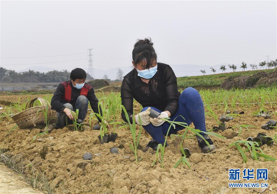 （在習(xí)近平新時(shí)代中國特色社會(huì)主義思想指引下——新時(shí)代新作為新篇章·習(xí)近平總書記關(guān)切事·圖文互動(dòng)）（5）為農(nóng)田注入硬核生產(chǎn)力——一些地方春耕中農(nóng)業(yè)科技創(chuàng)新掃描