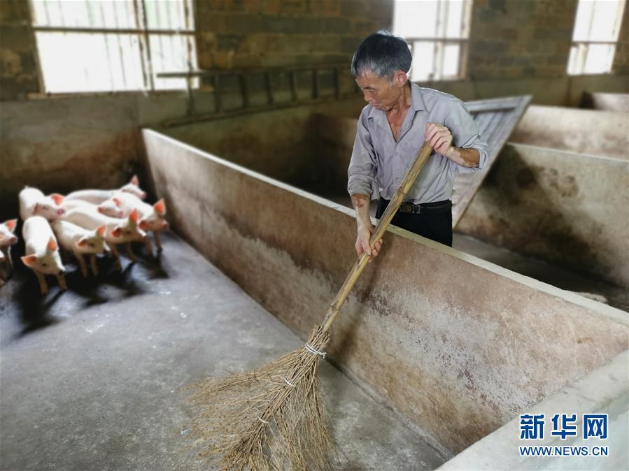 （走向我們的小康生活·圖文互動(dòng)）（2）長沙：以“繡花功”精準(zhǔn)攻破“插花貧”